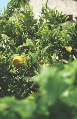 [91c1a] !Read^ @Online~ My Journal Citrus Tree in the South of France Cover - Thomasina Shealey !e.P.u.b^